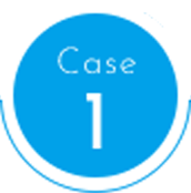 case1